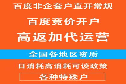 行业标杆：某信息流广告公司的成功投放策略